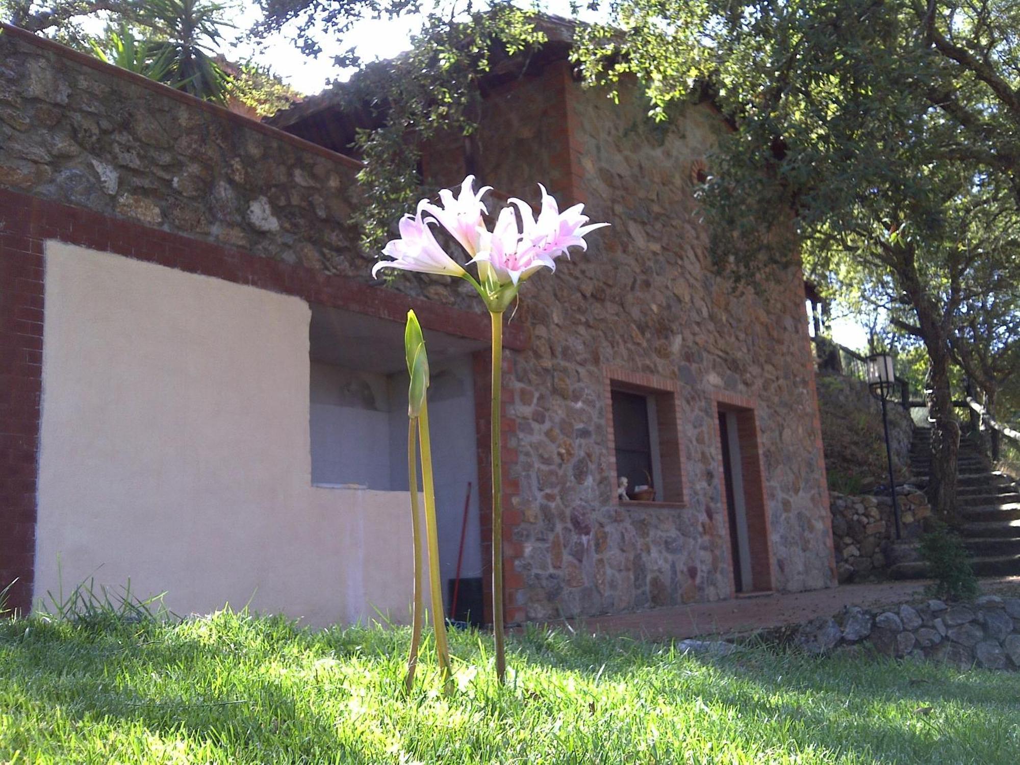 La Quercia Konuk evi Arbus Dış mekan fotoğraf